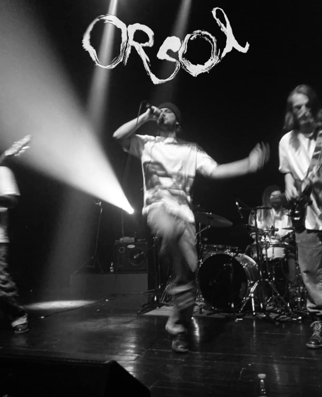 Orsol